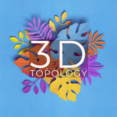 What is 3D Topology?