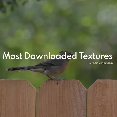 Most Downloaded Textures