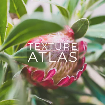atlas texture image
